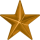 Bronze Star Image